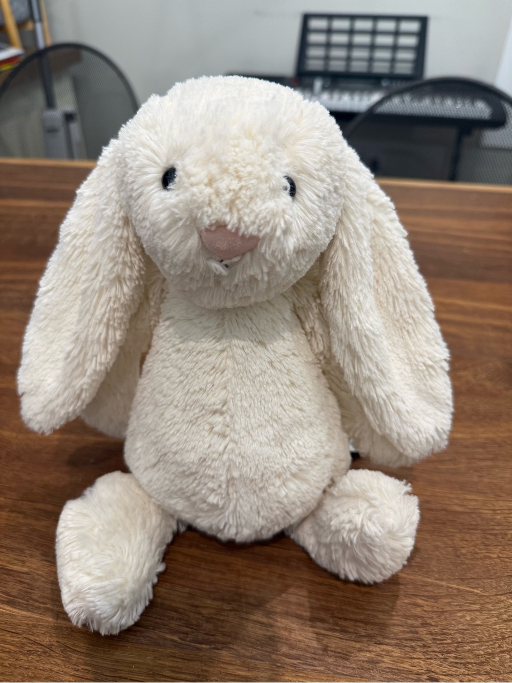 Jellycat Bashful Cream Bunny Medium 12” Plush Rabbit Cream White Long Ears